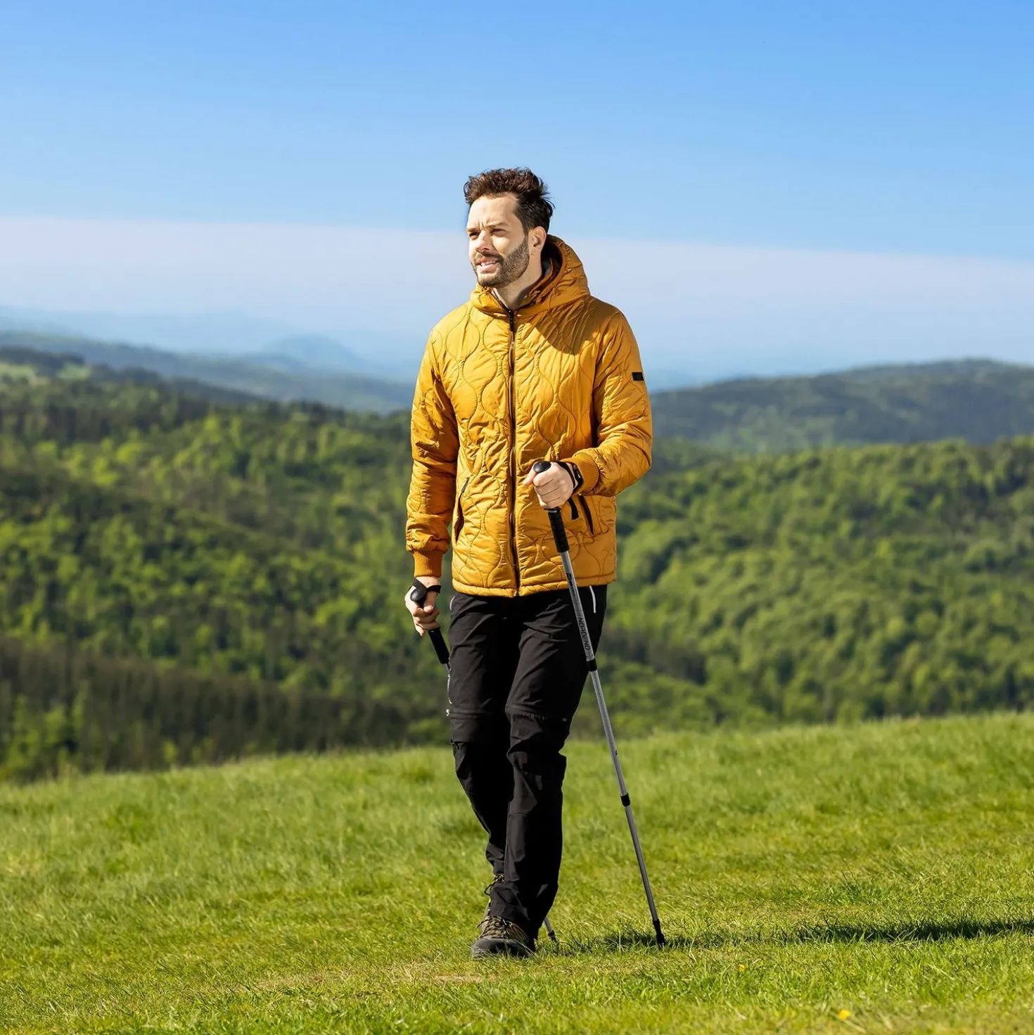 Kije trekkingowe Nordend srebrne
