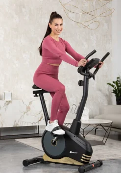 Rower magnetyczny HS-2080 Spark czarno-złoty